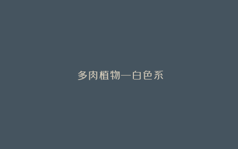 多肉植物—白色系
