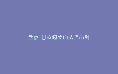 盘点10款超美的法师品种!