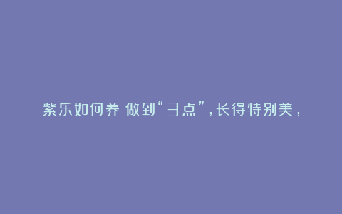 紫乐如何养?做到“3点”,长得特别美,颜色也好看,容易出状态