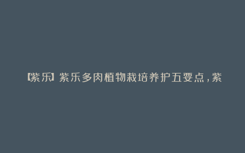 【紫乐】紫乐多肉植物栽培养护五要点,紫肉富贵显大气