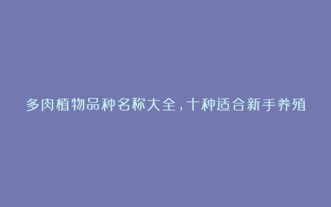 多肉植物品种名称大全,十种适合新手养殖的多肉植物