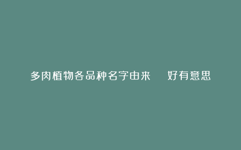 多肉植物各品种名字由来 | 好有意思!
