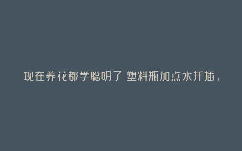 现在养花都学聪明了!塑料瓶加点水扦插,成活率高,蹭蹭冒根
