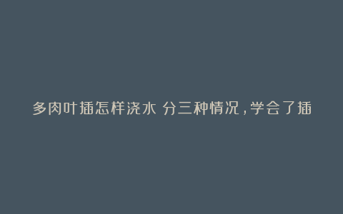 多肉叶插怎样浇水?分三种情况,学会了插一盆活一盆!