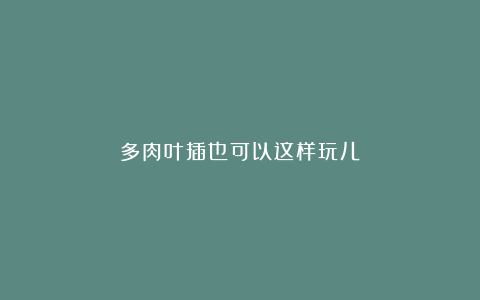 多肉叶插也可以这样玩儿!