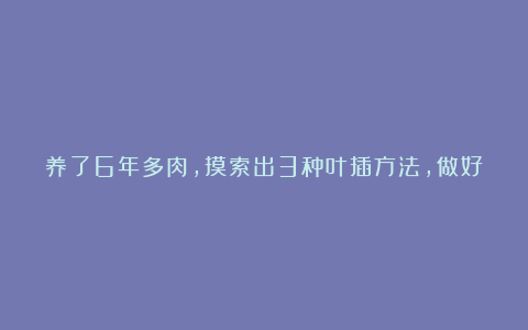 养了6年多肉,摸索出3种叶插方法,做好了成活率不低