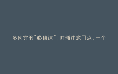 多肉党的“必修课”,叶插注意3点,一个叶子,繁殖一大片