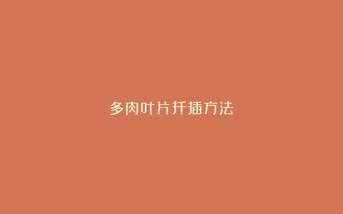 多肉叶片扦插方法