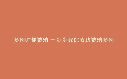 多肉叶插繁殖:一步步教你成功繁殖多肉