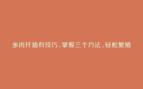 多肉扦插有技巧,掌握三个方法,轻松繁殖一大片!