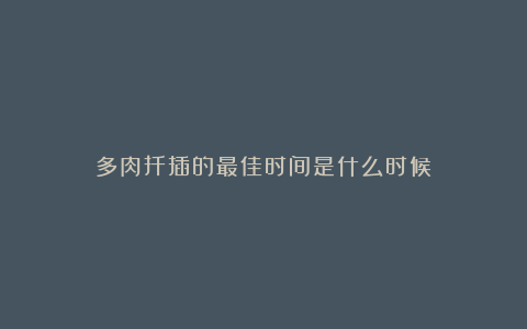 多肉扦插的最佳时间是什么时候?