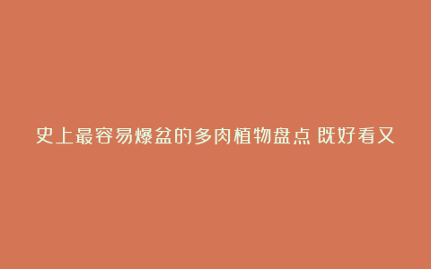 史上最容易爆盆的多肉植物盘点!既好看又好养!
