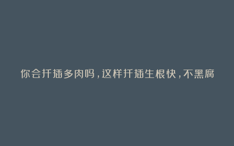 你会扦插多肉吗,这样扦插生根快,不黑腐