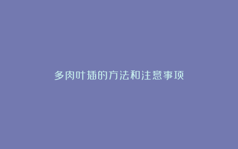 多肉叶插的方法和注意事项