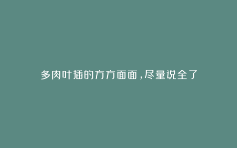 多肉叶插的方方面面,尽量说全了