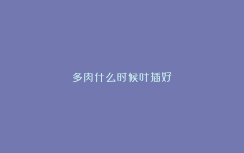 多肉什么时候叶插好