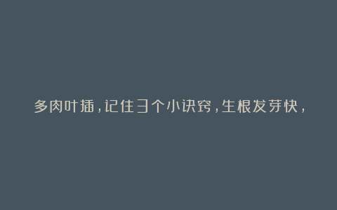 多肉叶插,记住3个小诀窍,生根发芽快,一棵变10棵,一盆变多盆