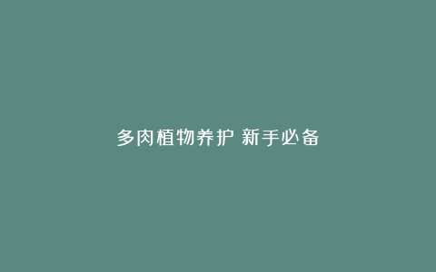 多肉植物养护!新手必备!