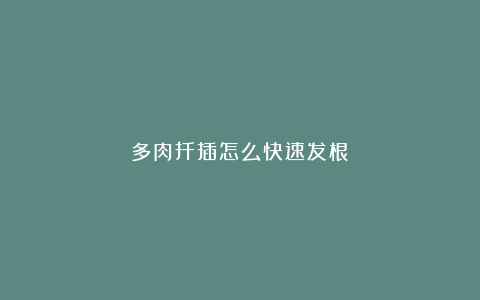 多肉扦插怎么快速发根