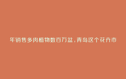 年销售多肉植物数百万盆,青岛这个花卉市场了不得