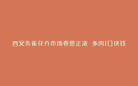 西安朱雀花卉市场春意正浓 多肉10块钱买5盆!
