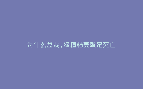 为什么盆栽,绿植枯萎就是死亡?