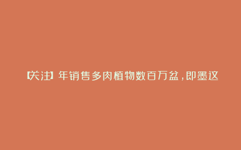 【关注】年销售多肉植物数百万盆,即墨这个花卉市场了不得!