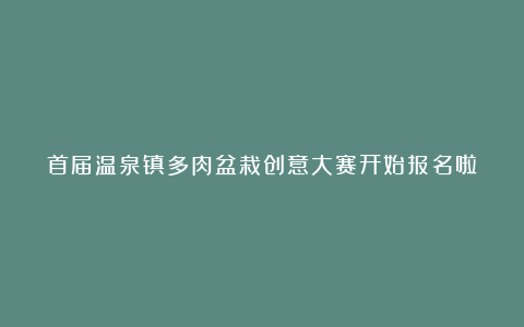 首届温泉镇多肉盆栽创意大赛开始报名啦