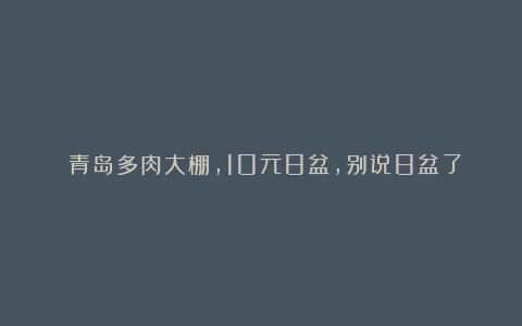 青岛多肉大棚,10元8盆,别说8盆了,10盆都没人买了