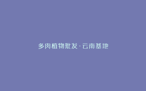 多肉植物批发·云南基地
