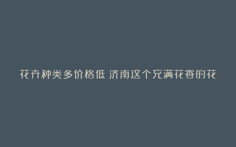 花卉种类多价格低！济南这个充满花香的花卉市场你去过吗
