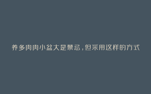 养多肉肉小盆大是禁忌,但采用这样的方式浇水多肉也能正常长大