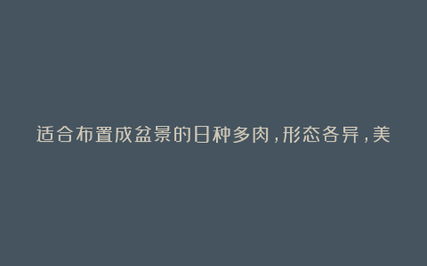 适合布置成盆景的8种多肉,形态各异,美爆了