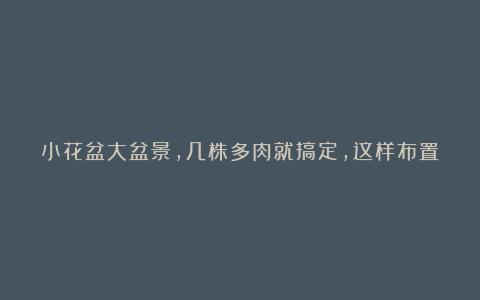 小花盆大盆景,几株多肉就搞定,这样布置错不了