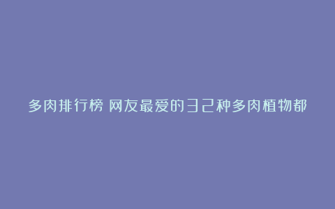 多肉排行榜丨网友最爱的32种多肉植物都在这里了~