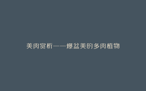 美肉赏析——爆盆美的多肉植物