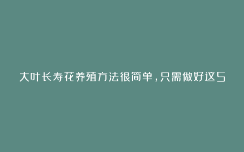 大叶长寿花养殖方法很简单,只需做好这5点
