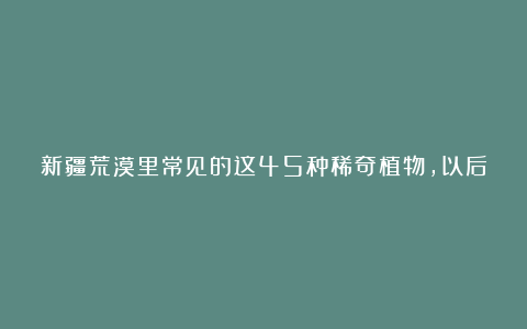 新疆荒漠里常见的这45种稀奇植物,以后捡到这些宝贝可千万别丢了