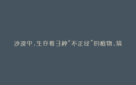 沙漠中,生存着3种“不正经”的植物,搞笑又让人心疼!