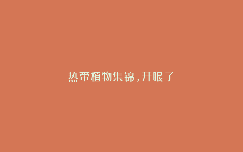热带植物集锦,开眼了!