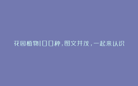 花园植物100种,图文并茂,一起来认识这些漂亮的花卉吧!