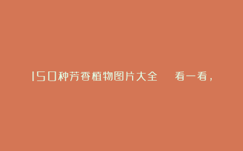 150种芳香植物图片大全 | 看一看,你还认识我吗?