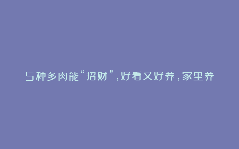 5种多肉能“招财”,好看又好养,家里养几盆,越养越“有钱”