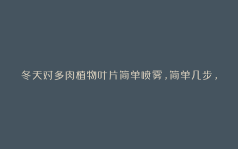 冬天对多肉植物叶片简单喷雾,简单几步,把多肉养得又肥又嫩!