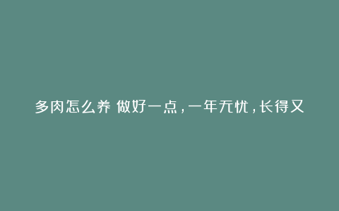 多肉怎么养?做好一点,一年无忧,长得又肥又壮,又美又艳