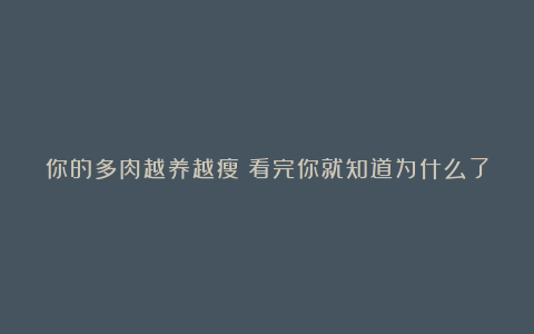 你的多肉越养越瘦?看完你就知道为什么了!