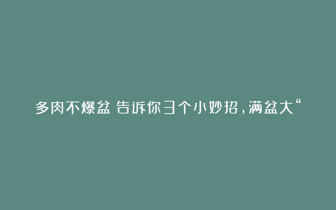 多肉不爆盆?告诉你3个小妙招,满盆大“肥肉”呼呼溢出盆