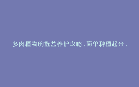 多肉植物的选盆养护攻略,简单种植起来,蜕变成大肥肉!