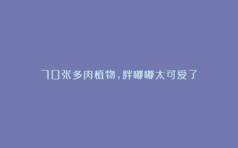 70张多肉植物,胖嘟嘟太可爱了