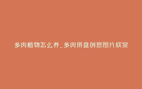 多肉植物怎么养_多肉拼盘创意图片欣赏